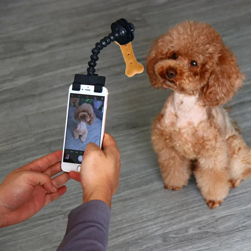Pet Photography Tool Cat Dog And Dog Viewing Lens Mobile Phone Camera Holder Selfie Clip Supplies Pet Products