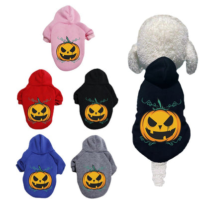Halloween pumpkin dog hoodie