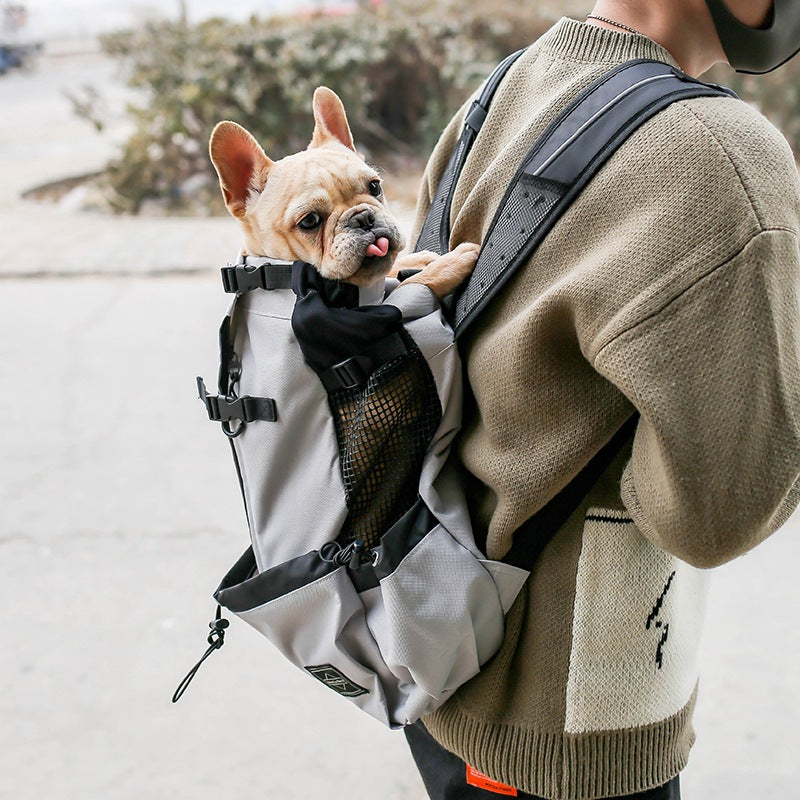 Dog carrier backpack