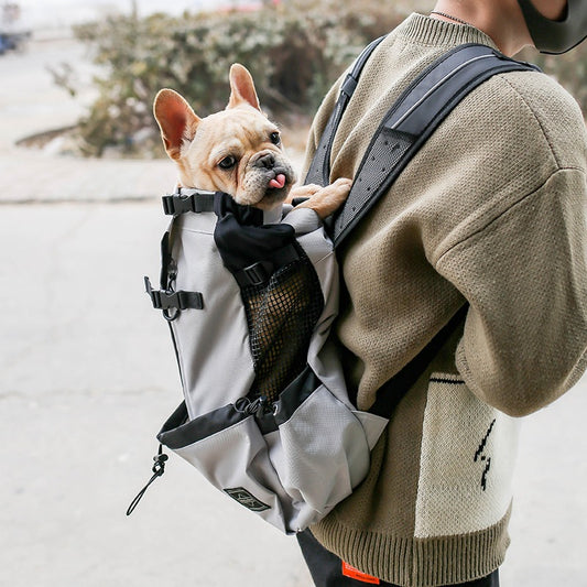 Dog carrier backpack
