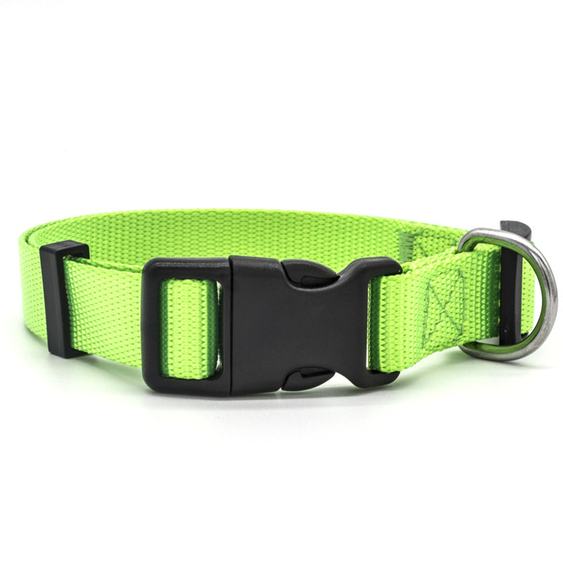 Green dog collar