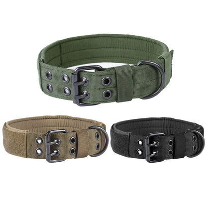 Nylon dog leash and collar set