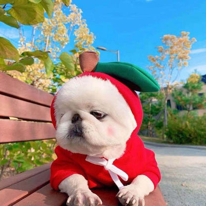 Style 1 fruit dog hoodie