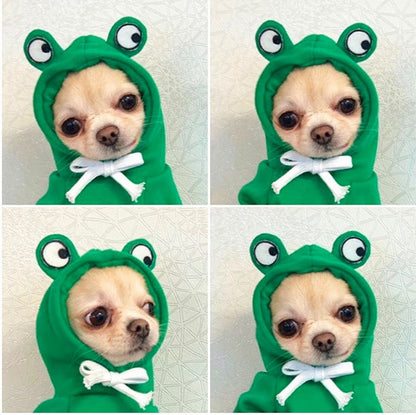 Style 5 fruit dog hoodie
