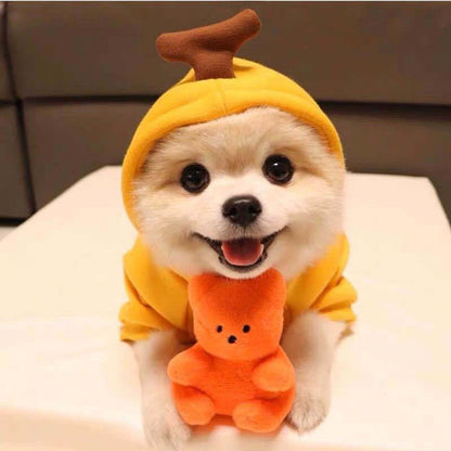 Style 7 fruit dog hoodie