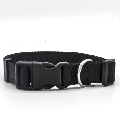 Black dog collar