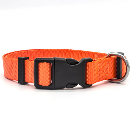 Orange dog collar