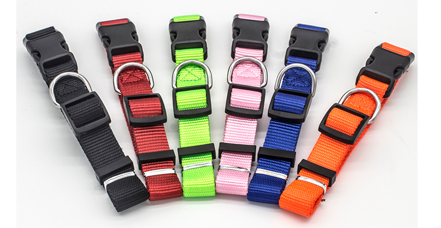 Everyday adjustable dog collar