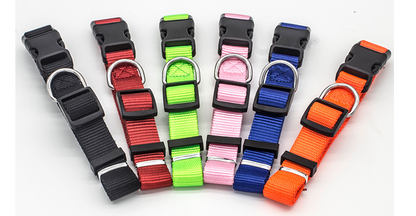 Everyday adjustable dog collar