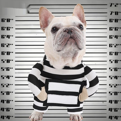 Prisoner Dog Costume front