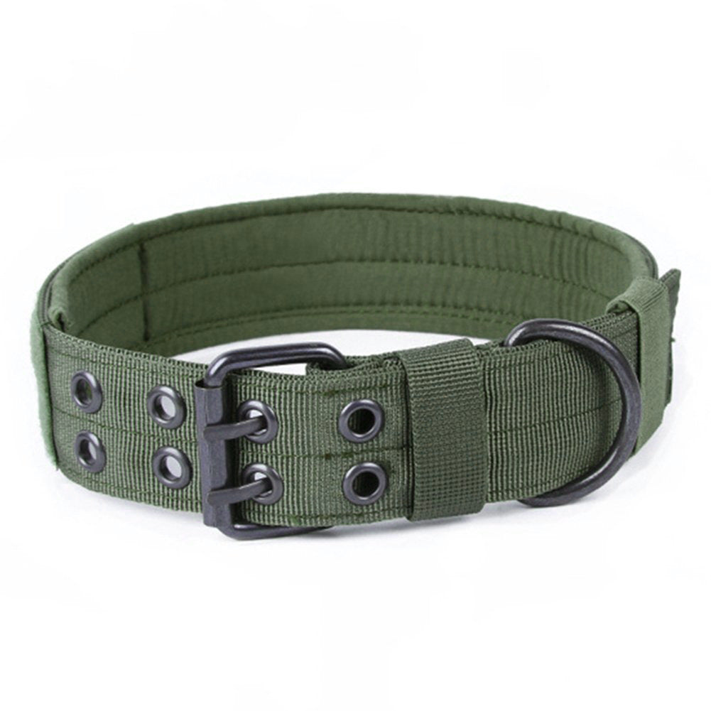 Green nylon dog collar and leash