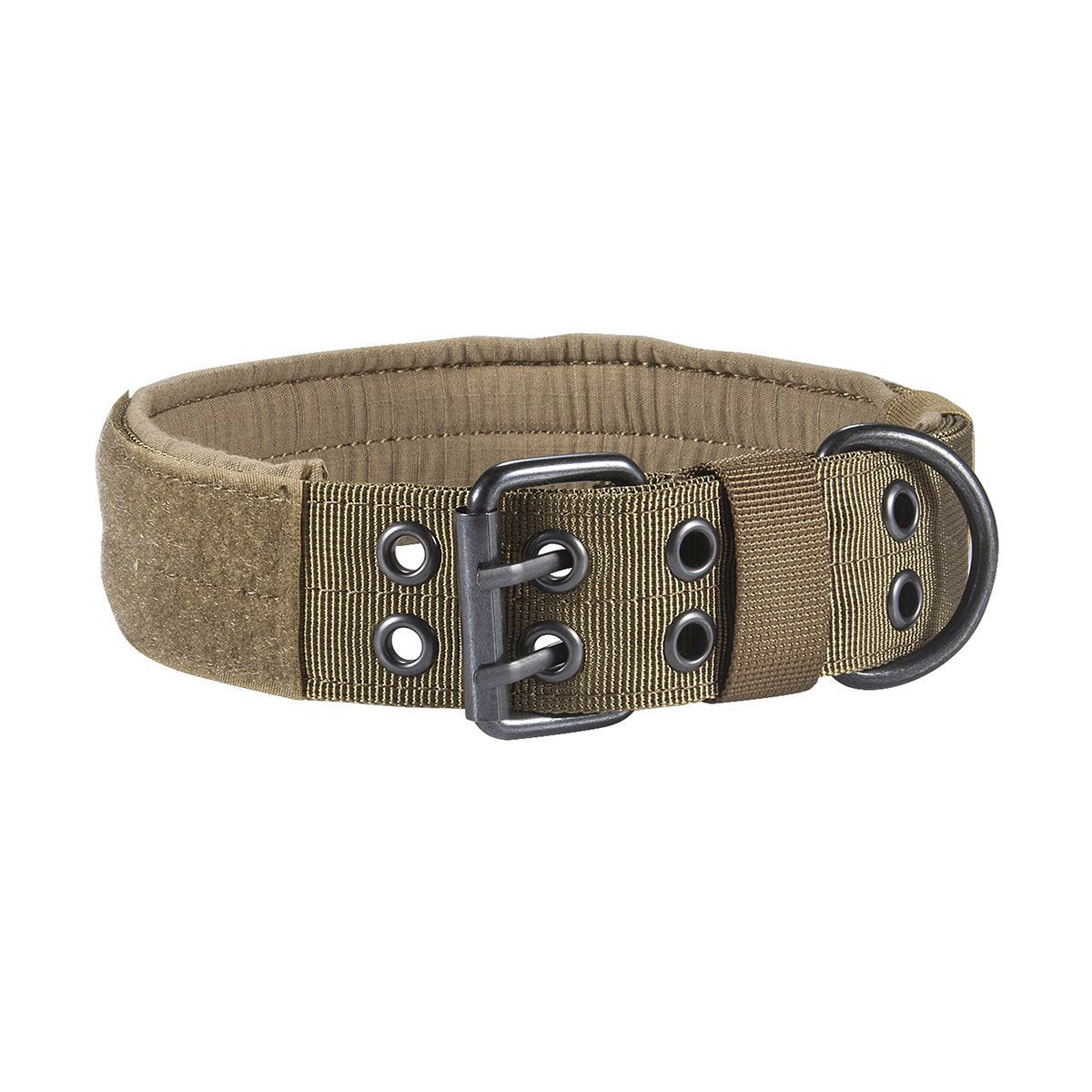 Brown nylon dog collar and leash