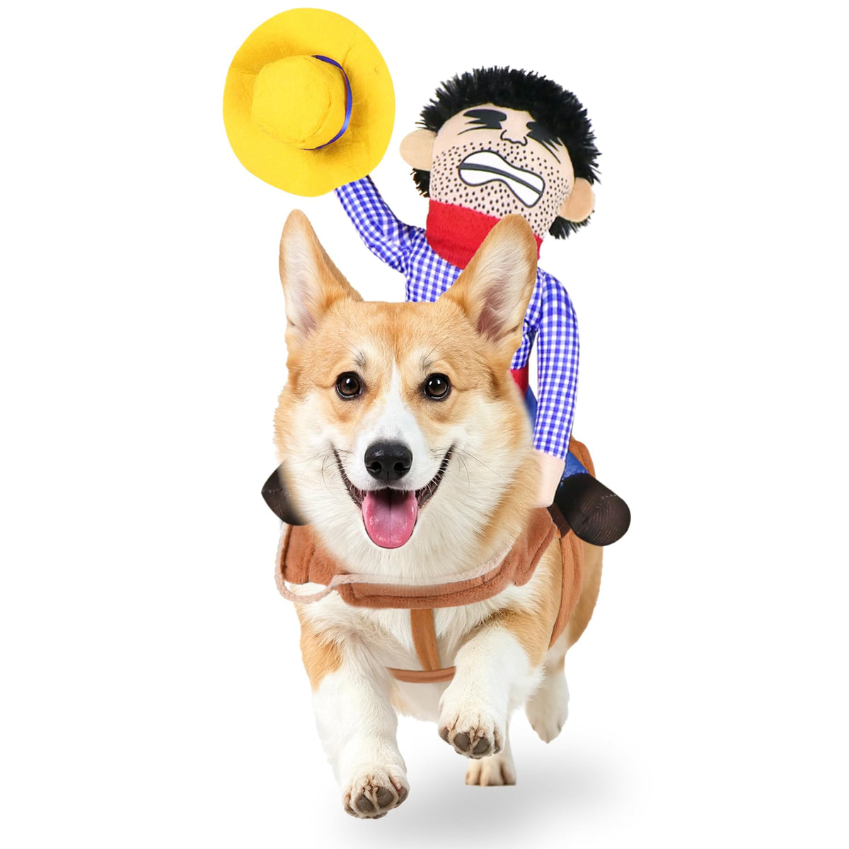 Cowboy Rider Dog Costume size chart