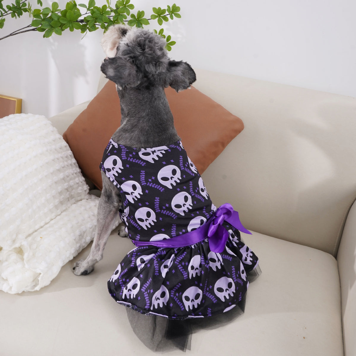 Dog Halloween wizard cape