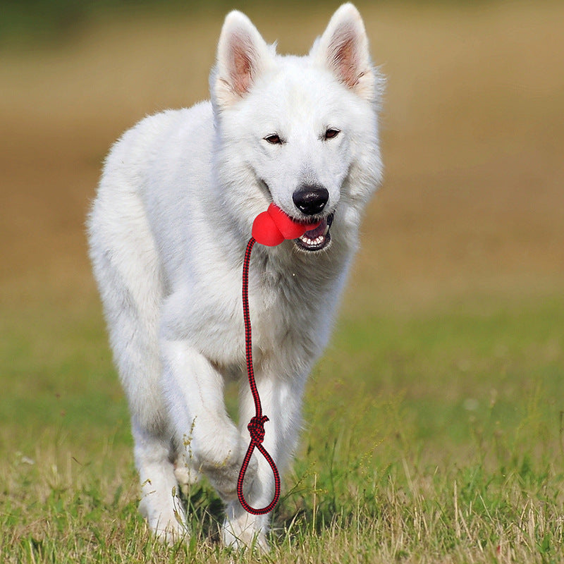 Rubber ball rope tug dog toy