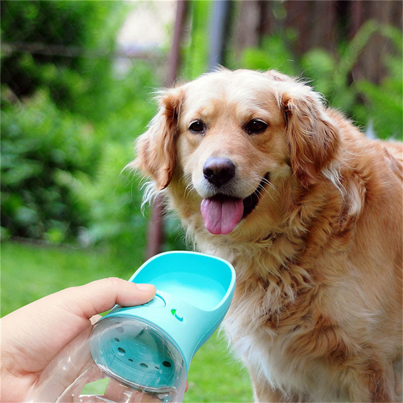 Portable dog water bottle