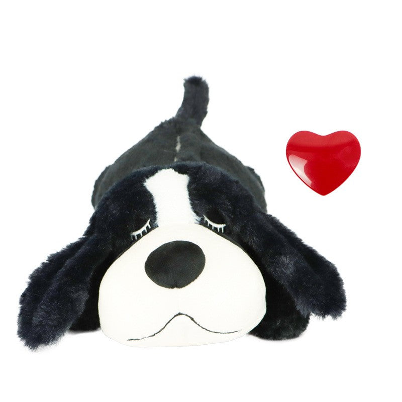 Black Dog