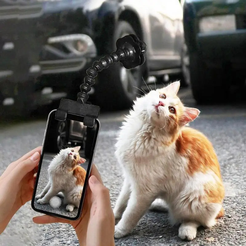 Pet Photography Tool Cat Dog And Dog Viewing Lens Mobile Phone Camera Holder Selfie Clip Supplies Pet Products