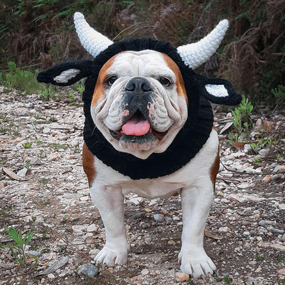 Black Cow knitted dog hat