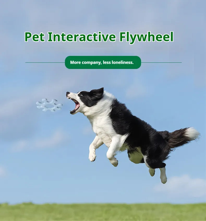 Macaron Flywheel Toy