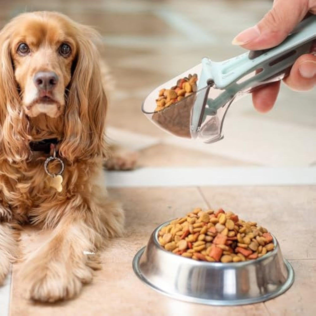 Dog food measuring scoop