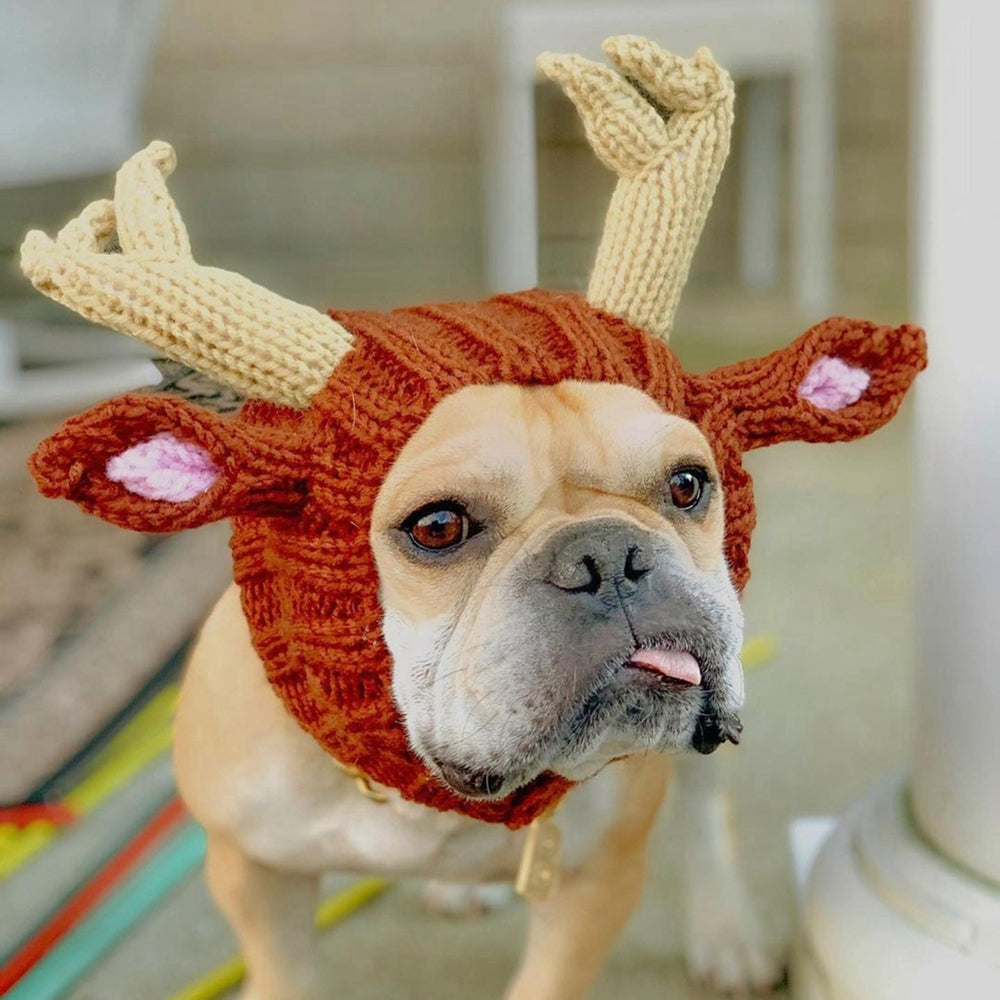 Deer knitted dog hat