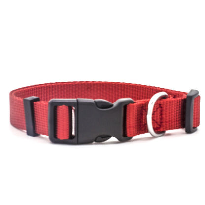 Red dog collar