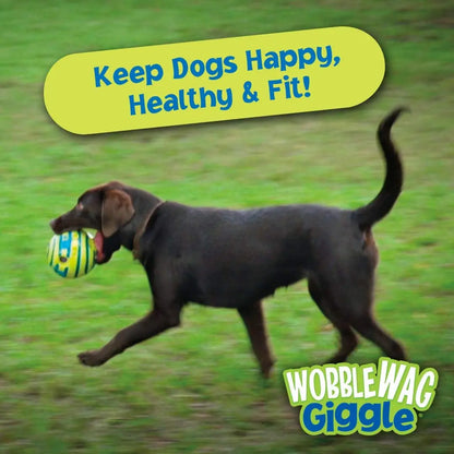 Wobble Wag Giggle Glow Ball Interactive Dog Toy Fun Sounds When Rolled or Shaken