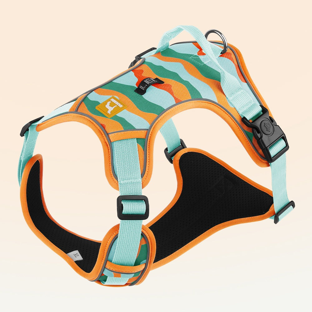 Orange dog harness set
