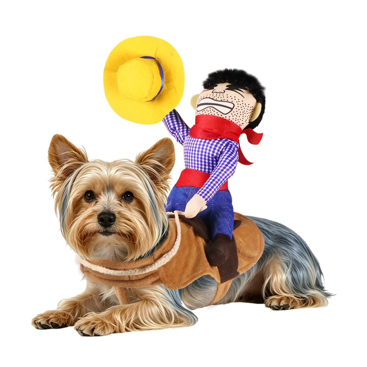 Cowboy Rider Dog Costume on dog