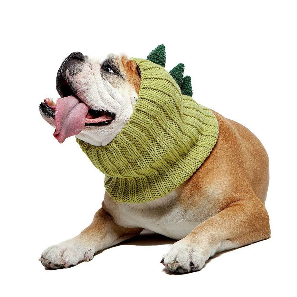 Dinosaur knitted dog hat