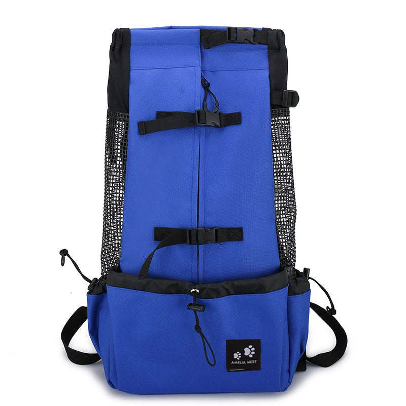 Blue dog carrier backpack