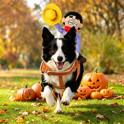 Cowboy Rider Dog Costume