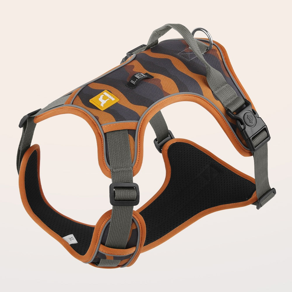 Chocolate dog harness set
