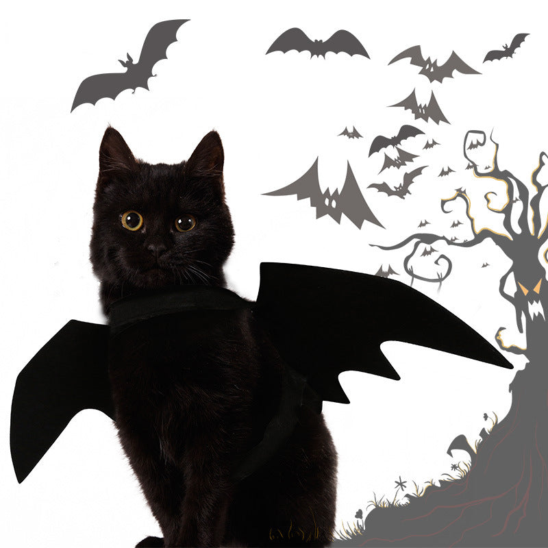 Bat Wing Halloween Costume